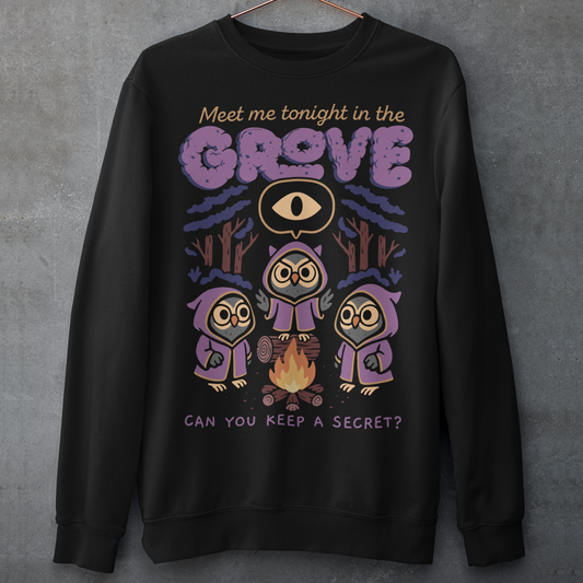 Black sweatshirt featuring three hooded owl characters gathered around a campfire in a dark forest. Above them is the text “Meet Me Tonight in the Grove” with an all-seeing eye symbol, and below reads “Can You Keep a Secret?” The design uses pink, purple, and cream tones in a spooky vintage cartoon style inspired by occult themes and secret societies.