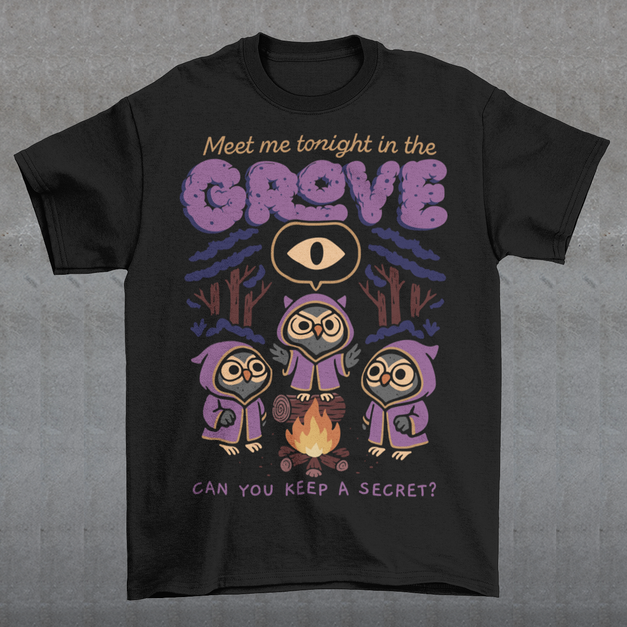 Black t-shirt featuring three hooded owl characters gathered around a campfire in a dark forest. Above them is the text “Meet Me Tonight in the Grove” with an all-seeing eye symbol, and below reads “Can You Keep a Secret?” The design uses teal, orange, and cream tones in a spooky vintage cartoon style inspired by occult themes and secret societies.