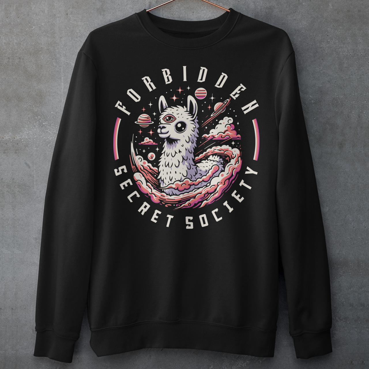 Black sweatshirt of an Illuminati llama with a third eye with text FORBIDDEN SECRET SOCIETY.